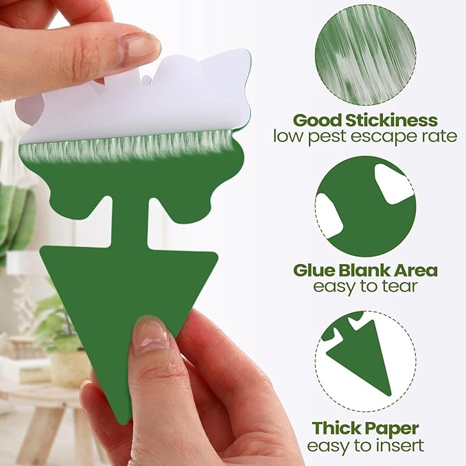 Qualirey 50 Sheets Fruit Fly Sticky Traps for Fruit Fly Gnat Trap for House Indoors Sticky Traps Catcher for Gnats Fungus Gnats Mosquito Catcher for Kitchen Outdoor Plants(Green)