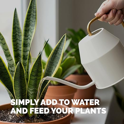 Indoor Plant Food – Liquid Fertilizer for Houseplants, New Growth, Greener Leaves, and Strong Roots, 1 Gallon