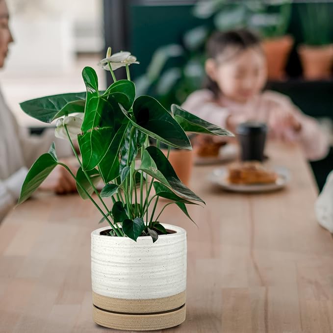 HERDUK 6 Inch Plant Pots, Ceramic Planter Pot with Drainage Hole & Saucer, Indoor/Outdoor Cylinder Round Planter Pot, White & Beige Glaze