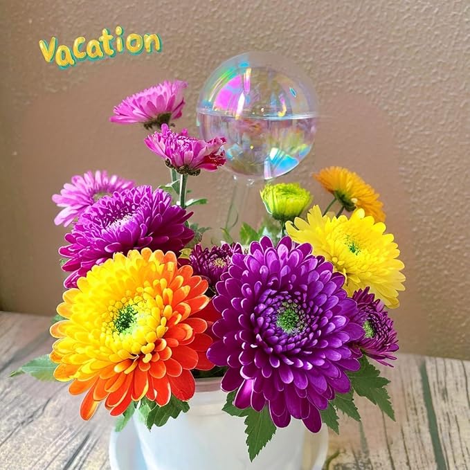 2 Pack 13 oz Glass Rainbow Large Plant Watering Globes, Self Watering Planter Insert with Self Watering Wick, Automatic Watering Device for Indoor & Outdoor Plants