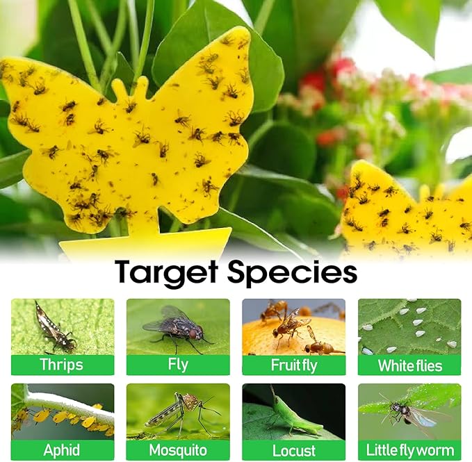 58 Pack Flying Insect Traps for Plants – Yellow Sticky Traps for Gnat, Fly & Flying Bug, Indoor Outdoor Flying Bug Catcher for Pots, Garden & Kitchen, Kid & Pet Safe, Non-Toxic (58 Pcs Classic)