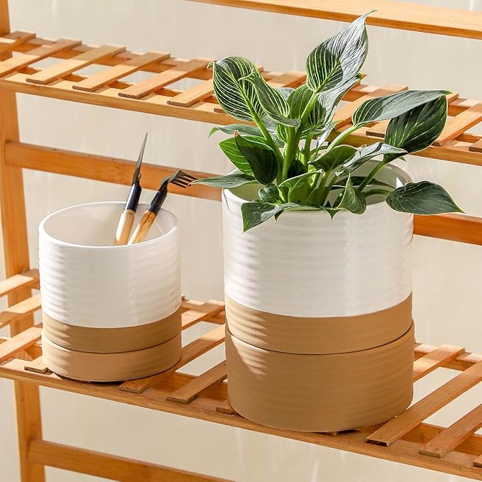 HASENSE Self Watering Plant Pot, 6 Inch Porcelain Planter with Drainage Hole and Saucers for Indoor & Outdoor Plants, Round Flower Pots for Houserwarming Gift, White