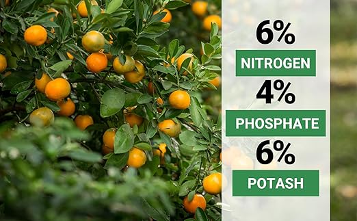 Gardenwise 6-4-6 Avocado and Citrus Tree Professional Fertilizer Plant Food for Outdoor/Indoor Gardening; Quick-Release Nitrogen Fertilizer; Orange, Lime, Avocado and Lemon Tree Fertilizer (10 QUARTS)