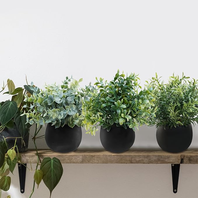 Winlyn Set of 3 Small Potted Faux Plants 8" Artificial Eucalyptus Rosemary Boxwood Plants in Black Concrete Pot Desk Plants for Home Office Bathroom Kitchen Counter Shelf Coffee Table Windowsill Décor