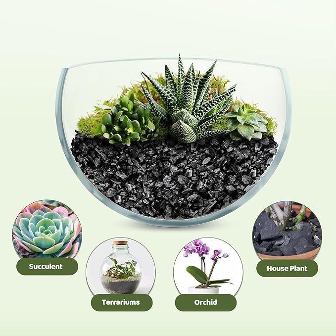 Horticultural Charcoal 2qt for Plants, Actived Charcoal Terrarium Supplies, Suitable for Indoor Plants, Succulent, Orchid, Cactus, Bonsai