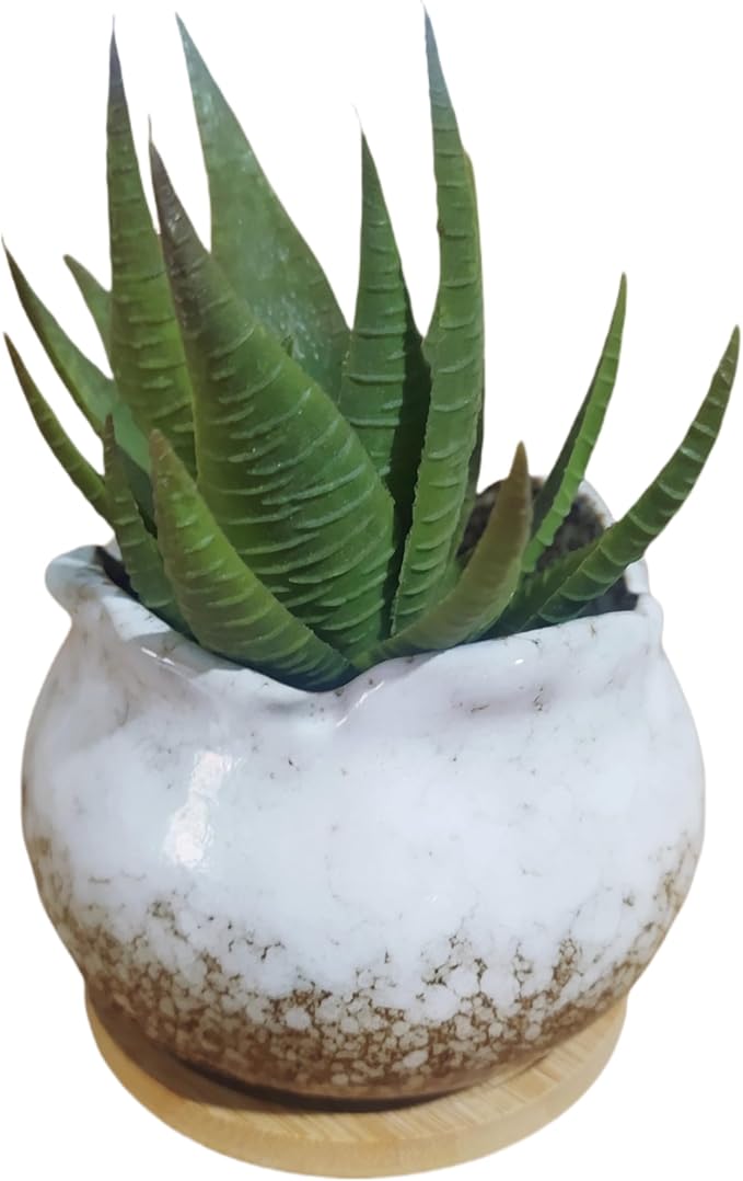 Cute Circular Ceramic Home Garden Decoration Succulent Cactus Flower Pots Container with Bamboo Tray -Plant Not Included (White, 4 Inch)