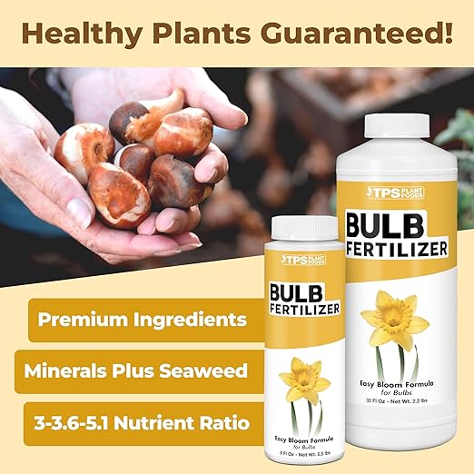 Bulb Fertilizer – Liquid Plant Food for Bigger Blooms & Stronger Bulb Development, 32 oz