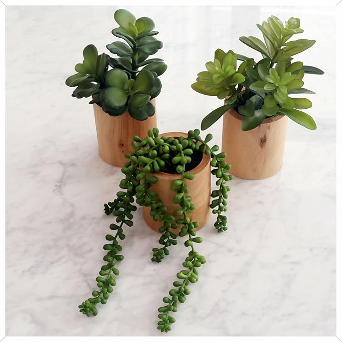 Artificial Succulents with Pots - Set of 3 Small Fake Plants for Aesthetic Room Decor - Realistic Mini Faux Greenery for Office Desk, Bookshelf, and Bathroom - Modern Home Accents