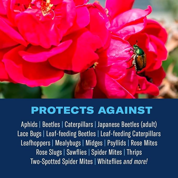 BioAdvanced 3-In-1 Insect, Disease and Mite Control, Ready-to-Use, 24 oz, Plant Bug Spray, Fungicide for Plants and Trees