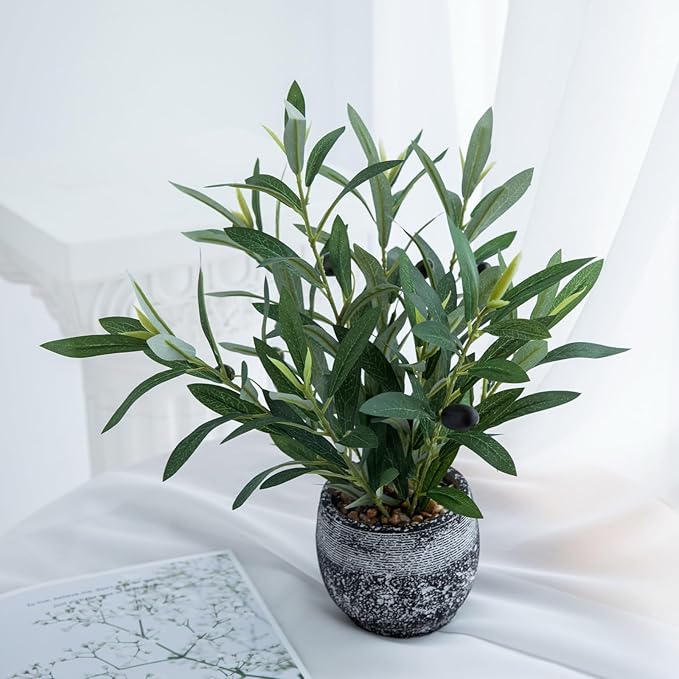 Indoor Faux Olive Plant 12 inch Artificial Silk Leaves in Elegant Planter Perfect Fake Olive Branches with Realistic Trunk and Lifelike Fruits Tabletop Greenery Decor for Home Office