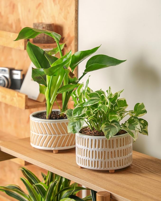 Fayoula Succulent Pots, 6 Inch Planters with Drainage Hole, Modern Indoor Plant Pots for Succulents, Herbs, Aloe, Snake Plant - Ceramic Home Décor, Set of 2