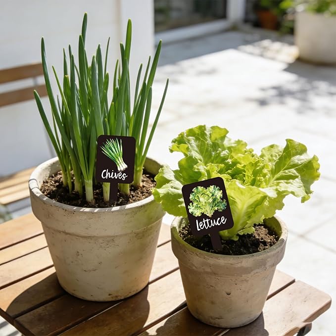 Whaline 20Pcs Watercolor Vegetable Fruit Plant Label Signs 20 Styles Garden Markers Waterproof Black Acrylic Plant Stake Tags with Names for Nursery Indoor Outdoor Garden Decor