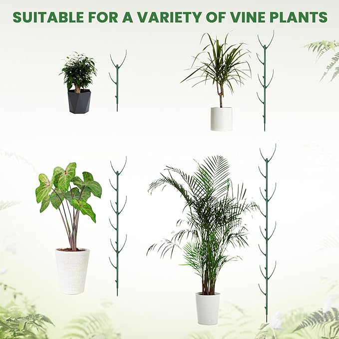 5 Pcs Stackable Plant Support Stakes, Stem Holder Structures Frame & Plant Cage Support Indoor & Outdoor Houseplant Stem Support Rings Strong Trellis Alternative for Climbing & Potted Plants