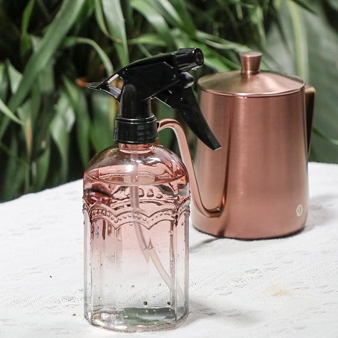 OFFIDIX Watering Can for Indoor Plants Long Spout Metal Stainless Steel 21 oz Small Watering Can with 14 oz Glass Plant Mister Spray Bottle for Plants Bonsai