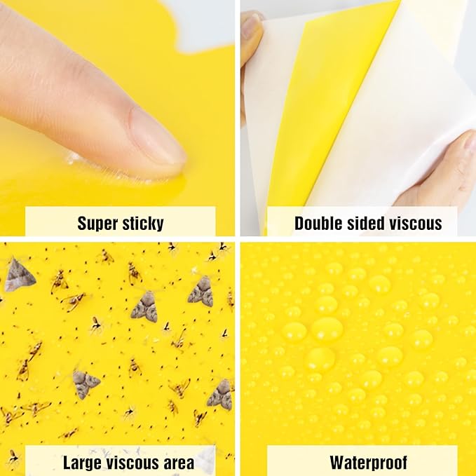 60 Pack Yellow Sticky Traps for Gnats Fruit Fly Traps for Indoors, Fungus Gnat Traps for House Indoor Fly Paper Indoor for Gnats Killer Indoor Trap