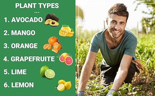 Gardenwise 6-4-6 Avocado and Citrus Tree Professional Fertilizer Plant Food for Outdoor/Indoor Gardening; Quick-Release Nitrogen Fertilizer; Orange, Lime, Avocado and Lemon Tree Fertilizer (10 QUARTS)