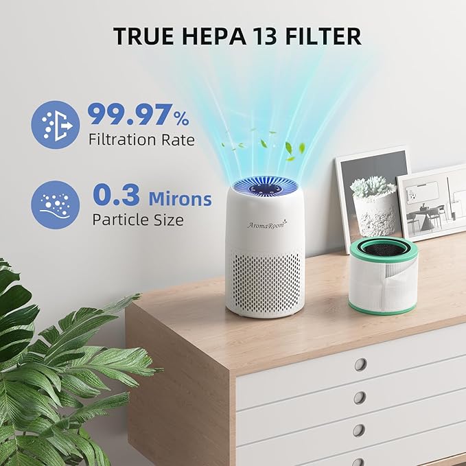 AromaRoom Smoke HEPA H13 Air Purifier Filter Replacement with Coconut Shell Carbon Filters, Compatible with AP100/AP102, Effectively Eliminates Smoke, Harmful Gases, Odors, 2 Packs, AP100-RF-SR，Green
