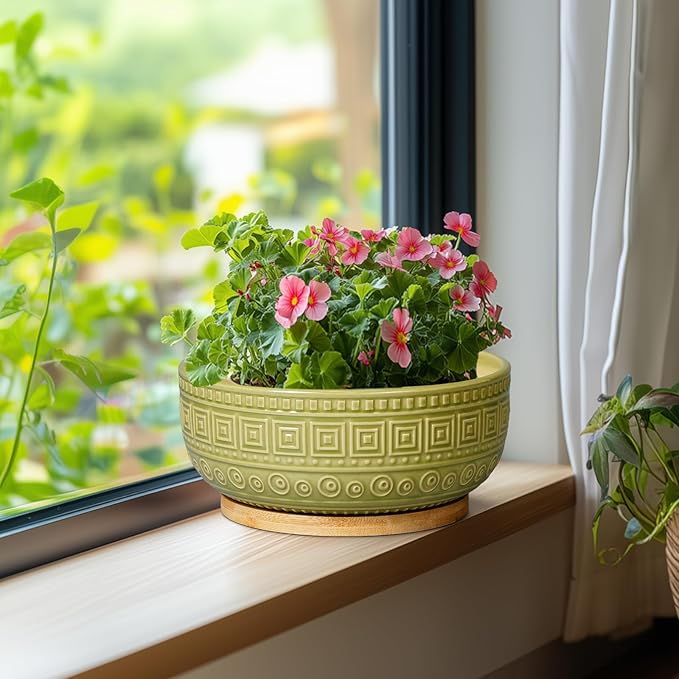 G EPGardening Bonsai Tree Pot - 8 Inch Ceramic Planter for Indoor Plants Flower, Shallow Round Succulent Bowl with Drainage and Saucer, Boho Office Decor, Gifts for Plant Lovers, Green