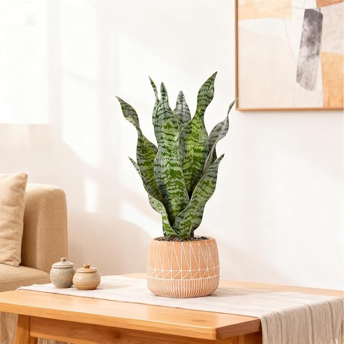 Artificial Realistic Snake Plant 17" with Concrete Pot Fake Snake Plants Sansevieria Greenery Faux Snake Plant for Home Office Living Room Housewarming Gifts Indoor Decor