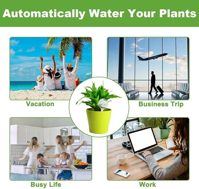 Plant Watering Globes, Self Watering Bulbs for Indoor & Outdoor Plants, Plastic Self-Watering Balls Automatic Water Irrigation Device (Clear, Large 12 Pack)