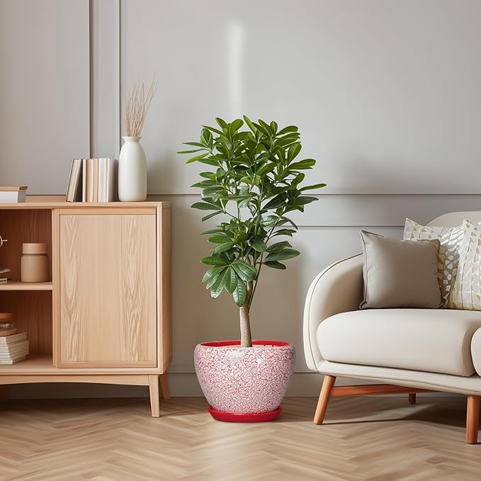 10 Inch Pots for Plants - Ceramic Planter Pots for Indoor Outdoor Plants, Decorative Planter with Drainage Hole and Saucer, Modern Flower Pot, House Decor, Plant Lover Gifts, Crackle Red