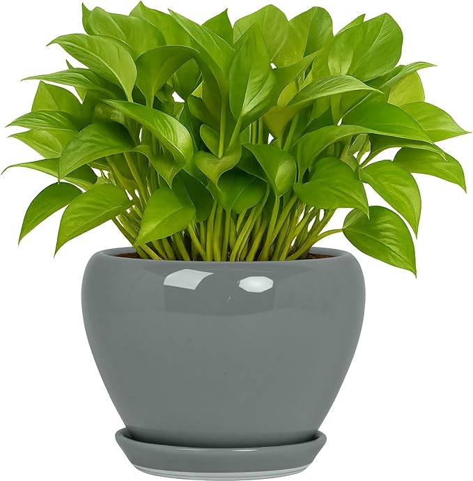 Deep Dream 6 Inch Plant Pots- Ceramic Planter Pot with Drainage Hole and Saucer, Round Flower Pot for Indoor Outdoor Succulent, Snake Plants and Cactus, Grey