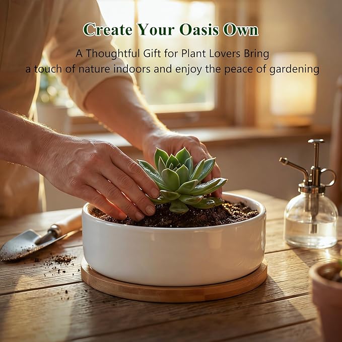 ZOUTOG Succulent Pots,6 Inch Succulent Planters with Drainage and Tray,White Ceramic Planters for Indoor Plants,Round Flower Plant Pots,Pack of 2