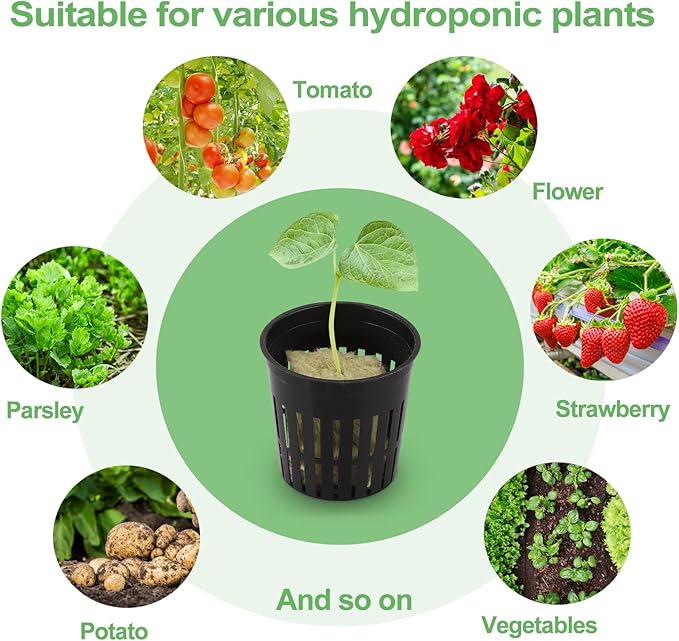 72 Sets Rockwool Cubes and Net Pots, 1.2 * 1.2 * 1.5 inch Rock Wool 72 Plugs & 72-Pack 2inch Net Cups for Hydroponics Growing Systemm, Garden Tower Supplies