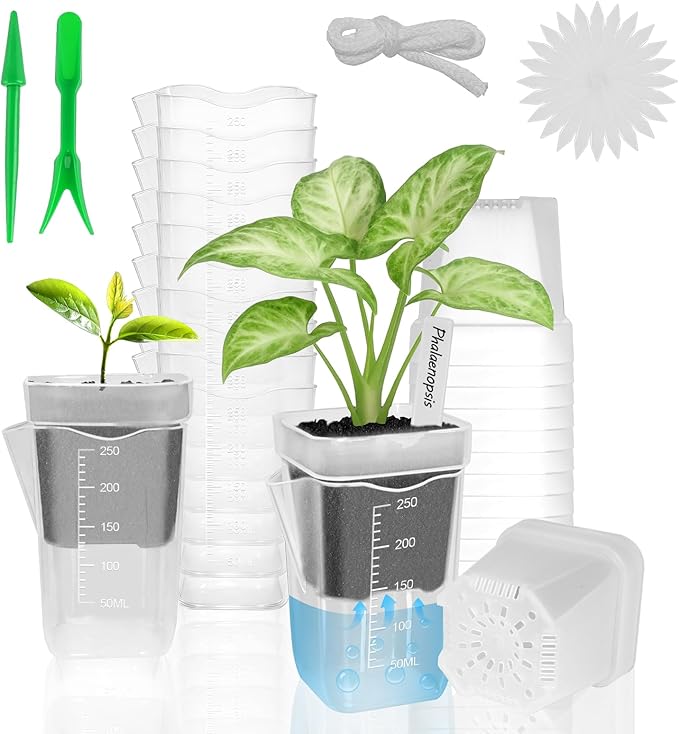 10 Pack 2.5" Mini Self Watering Pots for Indoor Plants, Small Clear Plastic Planters with Drainage & Water Level, Semi Hydroponic Pots for African Violet, Propagation and Succulents