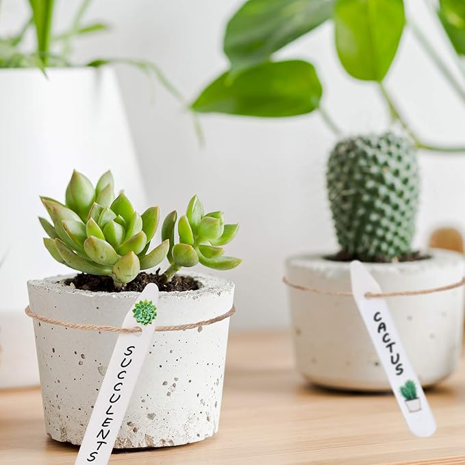 Whaline 200Pcs Thick Plastic Plant Labels with Hole White Waterproof Garden Stake Tag Marker Signs for Greenhouse Garden Seedlings Flowers Spotted Plants with 2 Marker Pen and Twine (12.5 CM)