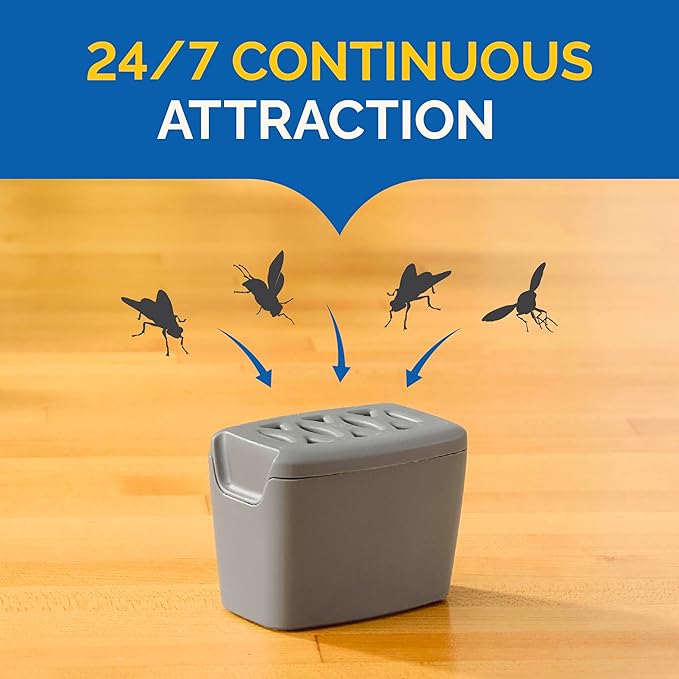 Hot Shot Flying Insect Trap, Discreet, Hassle-Free Trap Attracts, Captures House and Fruit Flies, 24/7 Continuous Attraction, No Plug-in Or Electricity Needed, 6 Count