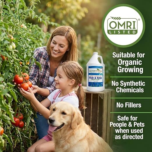 GS Plant Foods Liquid Fish & Kelp Fertilizer (1 Quart) – Organic Material Review Institute Listed Natural Plant Food for Home Gardens, and Vegetables