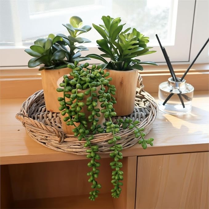 Artificial Succulents with Pots - Set of 3 Small Fake Plants for Aesthetic Room Decor - Realistic Mini Faux Greenery for Office Desk, Bookshelf, and Bathroom - Modern Home Accents