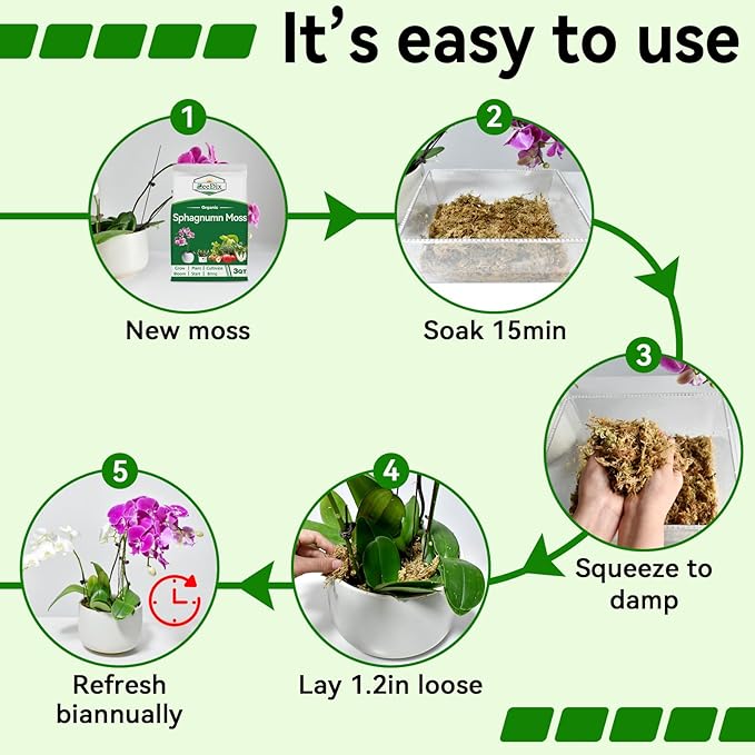 ZeeDix Natural Sphagnum Moss for Plants, Orchid Moss Potting Mix for Repotting, High Water Retention, Help with Maintain Humidity, Plant Moss for Gardening, Hanging Baskets, Reptile Bedding, 1QT