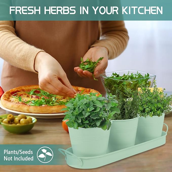 Indoor Herb Garden Set of 3 with Tray and 3 Types of Gardening Tools, Metal Plant Pots Herb Garden Planter Kit with Drainage for Plants (Green)