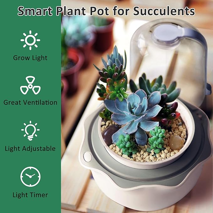 Smart Venus Fly Trap Terrarium Pot with Timer&Fan,Plant Terrarium Kit with Grow Light for Carnivorous,Butterwort, Venus Flytrap,Birthday Gardening for Women Garden Lover-No Plant
