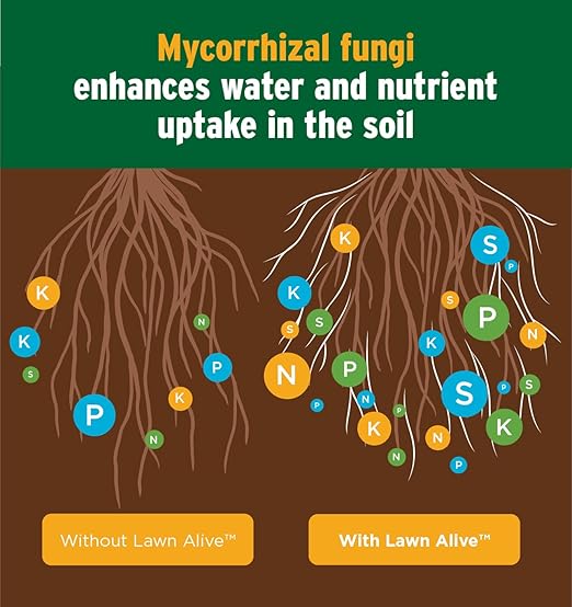 The Andersons Lawn Alive 15-0-0 Fertilizer and Soil Treatment with Endomycorrhizae Fungi 128 fl oz + 2 Multipurpose Hose-End Sprayers