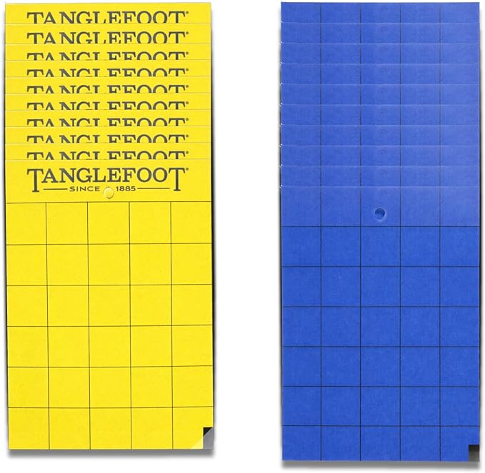 Tanglefoot Sticky Tangle-Trap Cards 20 Pack - 4"x6" – Double-Sided Yellow & Blue Hanging Traps for Garden, Plants & Greenhouse Use