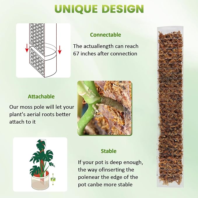 EOX 4 Pcs 36 Inch Plastic Moss Pole for Monstera, Large D Shaped Poles for Climbing Plants Work with Sphagnum Moss, 138 Inch Plant Stake Set of 4, Garden Ties