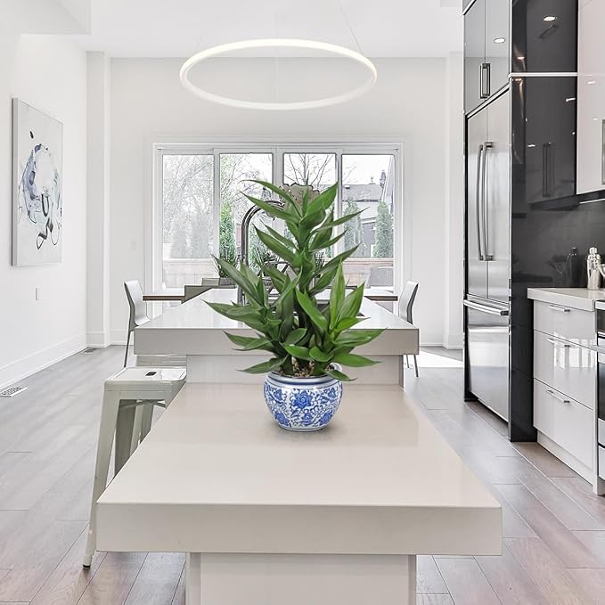 Artificial Potted Plants Indoor Home Decor 20" Tall Fake Lucky Bamboo Plant in Blue and White Ceramic Pot Faux Potted Plants Indoor Houseplant for Home Tabletop, Office Desk, Shelf, Zen Room