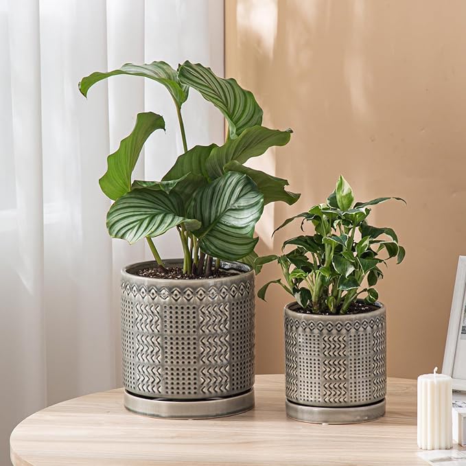 Indoor-Outdoor Ceramic Plant Pots: 8 Inch Flower Pots with Drainage Hole & Saucer - Decorative Ceramic Pots for Plants Herbs Succulents - Home Garden Patio Lawn Use