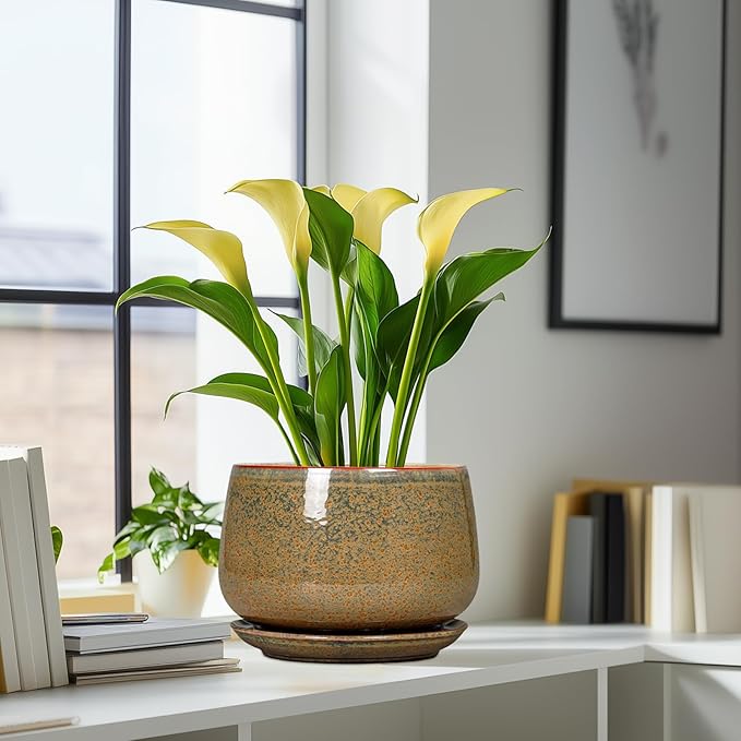 G EPGardening Ceramic Planters - 9 Inch Ceramic Pots for Plants Indoor Outdoor, Round Planter with Drainage and Saucer, Modern Indoor Flower Pots, House Room Decor, Gift for Women Men, Speckled Brown