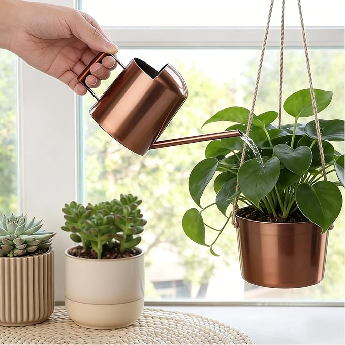 Watering Can 10oz/300ml Stainless Steel Long Spout Semi Open Powder Coated Flower Watering Pot for Garden Family Outdoor
