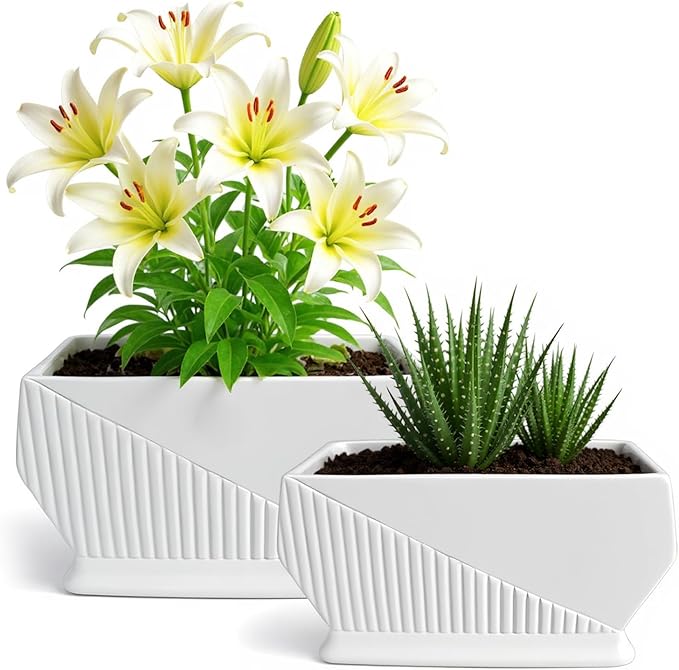 OXART Ceramic Plant pots Indoor Pots Set with Drainage Holes, 12+9 inch Flower Pot Rectangle Planters Pots for Plants for Plants Lilies, Cacti, Succulents, and Pothos, No Trays (White-1)