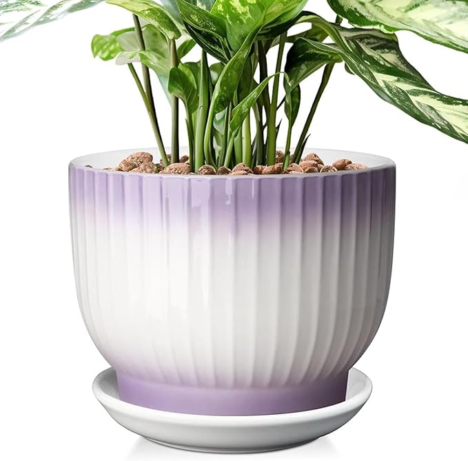8 Inch Plant Pot, Ceramic Planter with Drainage and Saucer, Ceramic Pots for Plants, Indoor Plant pots,Ceramic Flower pots(Purple + White, Plants NOT Included)
