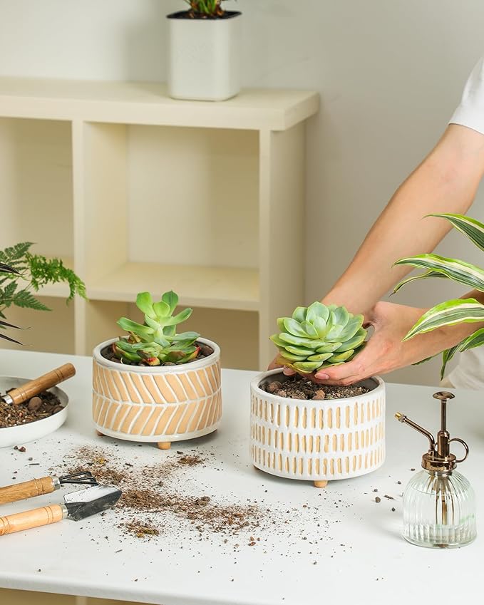 Fayoula Succulent Pots, 6 Inch Planters with Drainage Hole, Modern Indoor Plant Pots for Succulents, Herbs, Aloe, Snake Plant - Ceramic Home Décor, Set of 2
