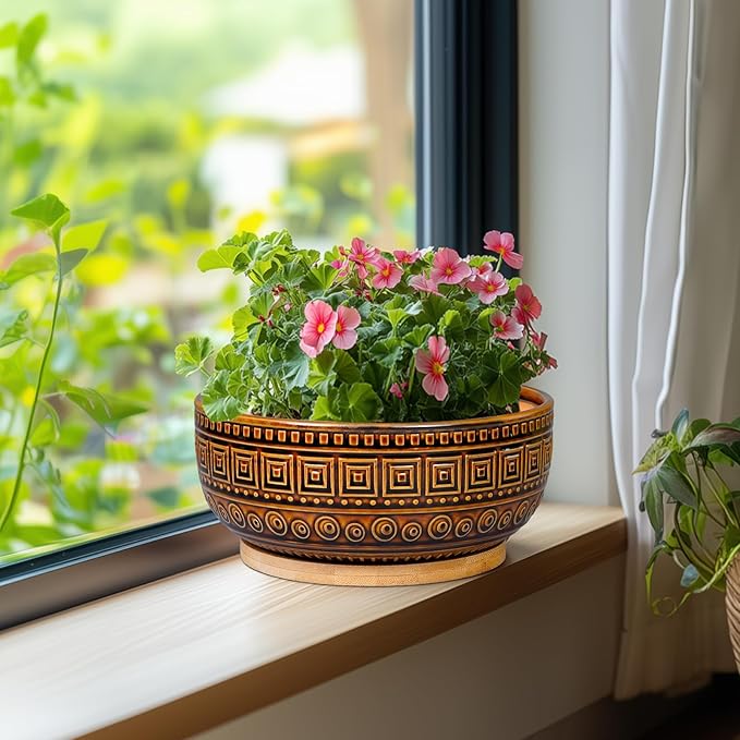 G EPGardening Bonsai Pots- 8 Inch Ceramic Succulent Planter with Drainage and Plant Saucer, Shallow Round Planter Bowl for Indoor Plants Flower, Boho Room Decor, Birthday Gifts, Brown