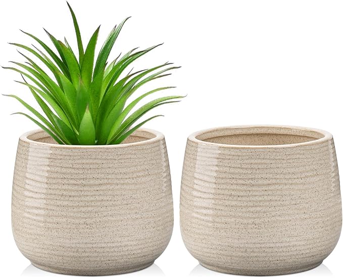 GnFlus Ceramic Plant Pots 5.3 Inch Set of 2, Flower Plants Pot with Drainage Holes White Planter Garden Pot for Succulent Cactus Home Decoration Gift Indoor Outdoor