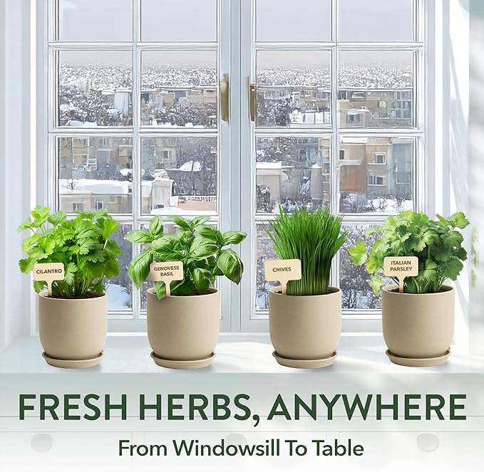 HOME GROWN Indoor Organic Herb Garden Kit – Unique Christmas Gift for Adults, Men, & Women - Grow 4 Herb Seeds & Herb Garden Planter Indoor Kit – Unique Christmas Gift for Adults, Men, & Women