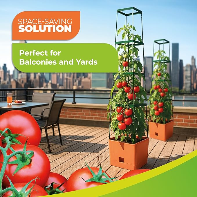 BioGreen 2 Pack Garden Tomato Planter MAXITOM, with Plant Support Trellis 59 inch and Self Watering, 4,2 Gal Planter Box for Climbing Vegetables Plants, Terracotta